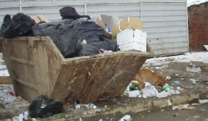 Open skip in Serbia